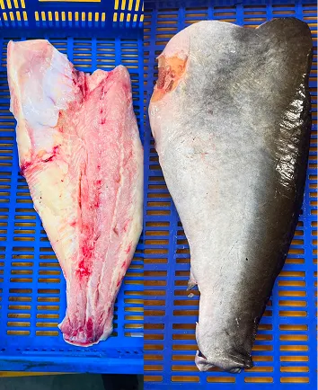 Indian Basa Fillet